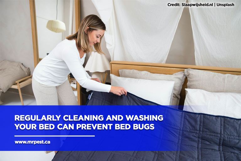 How Bed Bugs Survive And Thrive In The Winter - Mr Pest Control