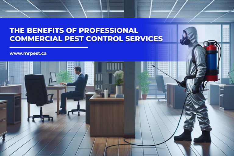 The Benefits of Professional Commercial Pest Control Services - Mr